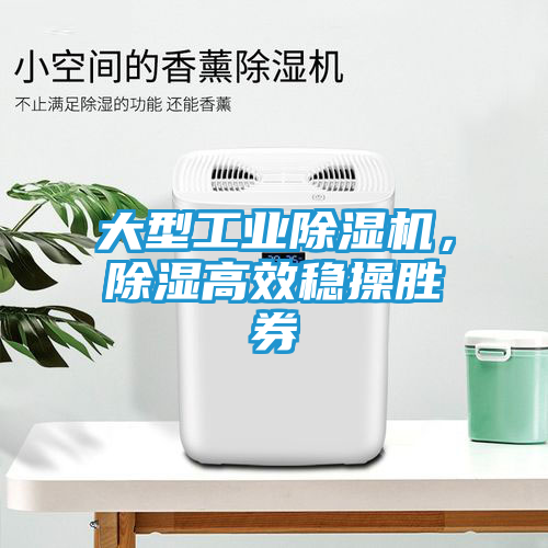 大型工业除湿机，除湿高效稳操胜券
