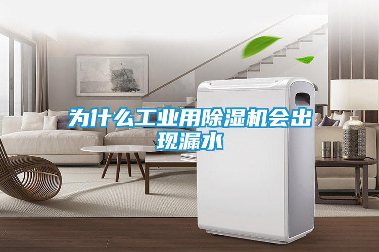 为什么工业用除湿机会出现漏水