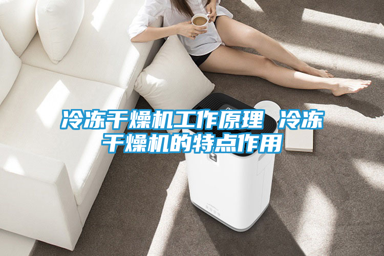 冷冻干燥机工作原理 冷冻干燥机的特点作用