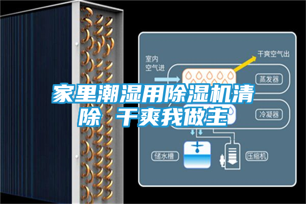 家里潮湿用除湿机清除 干爽我做主