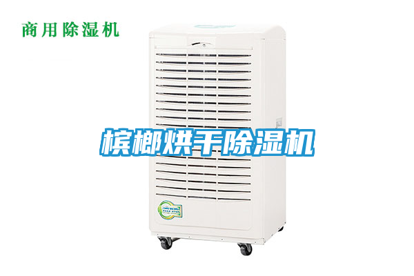 槟榔烘干除湿机