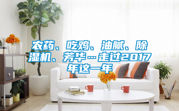 农药、吃鸡、油腻、除湿机、芳华…走过2017年这一年