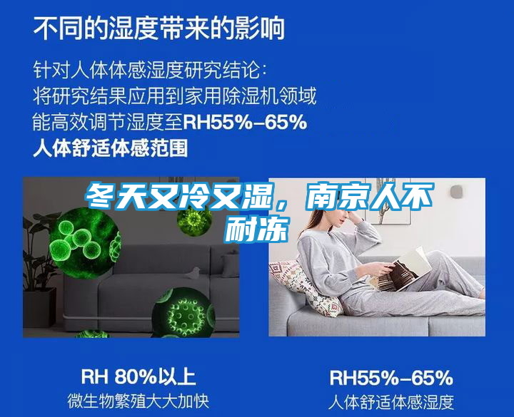 冬天又冷又湿，南京人不耐冻