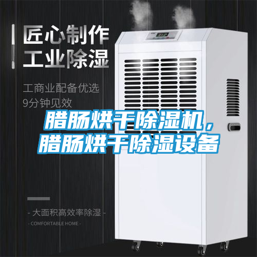 腊肠烘干除湿机，腊肠烘干除湿设备