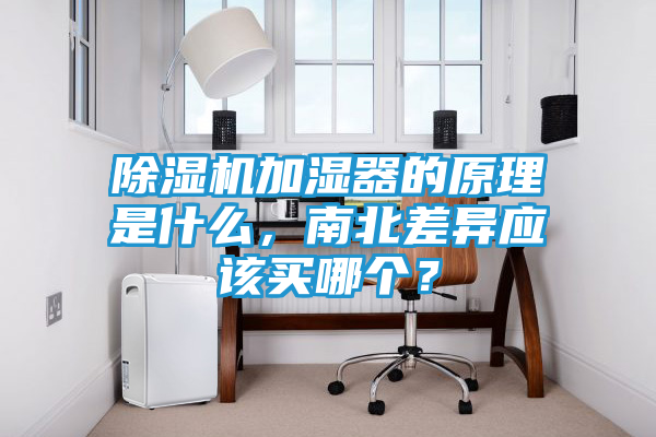 除湿机加湿器的原理是什么，南北差异应该买哪个？