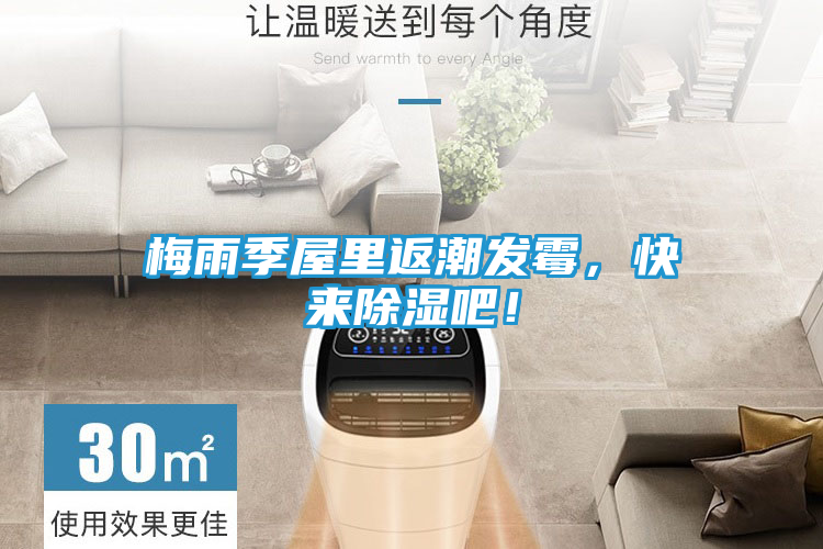 梅雨季屋里返潮发霉，快来除湿吧！