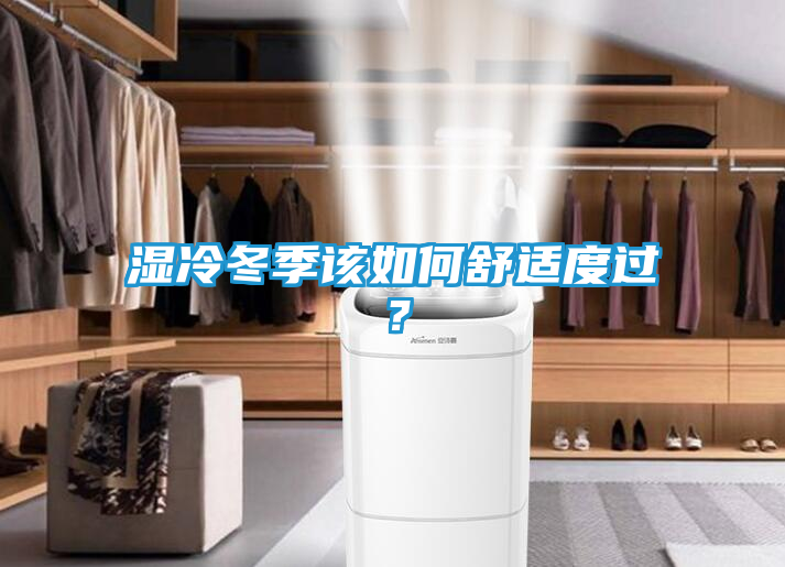湿冷冬季该如何舒适度过?