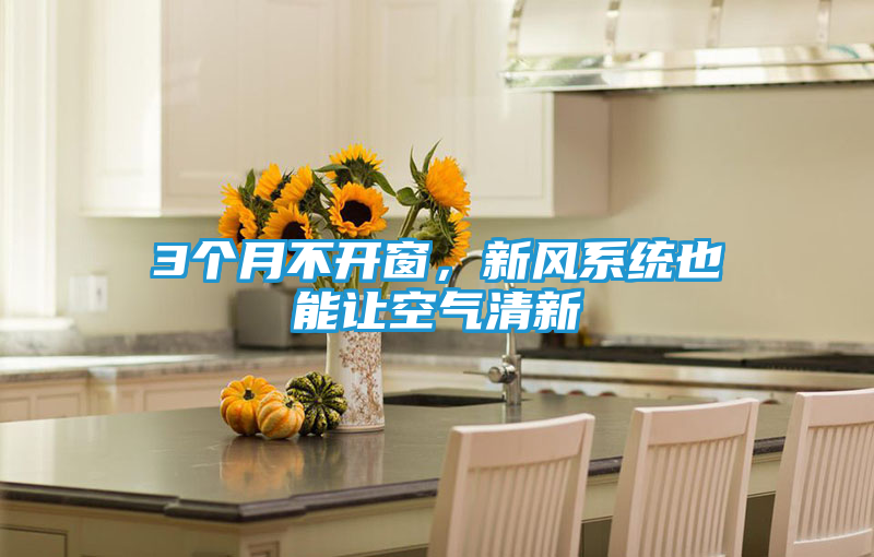 3个月不开窗，新风系统也能让空气清新