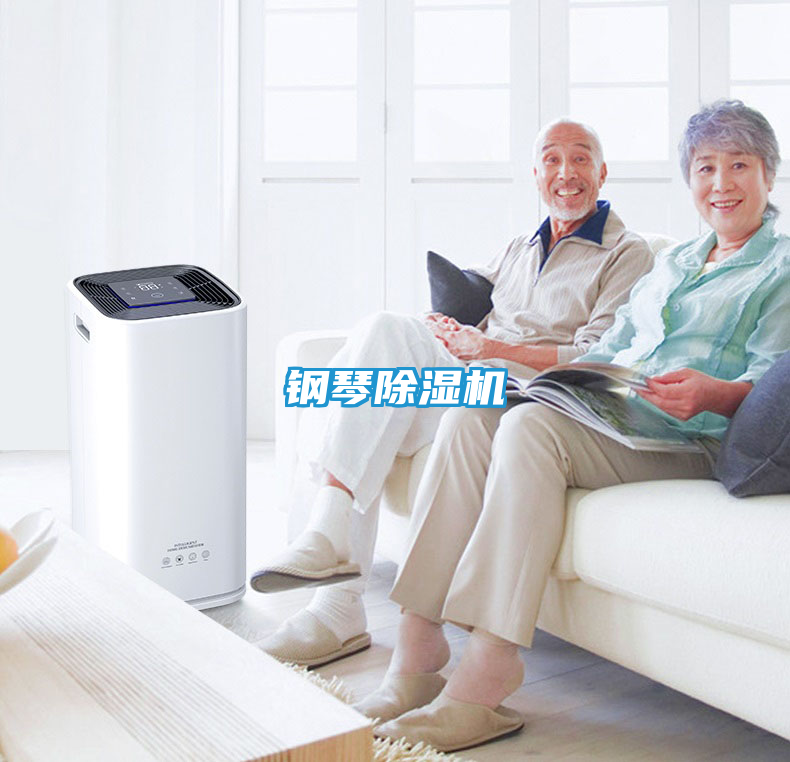 钢琴除湿机
