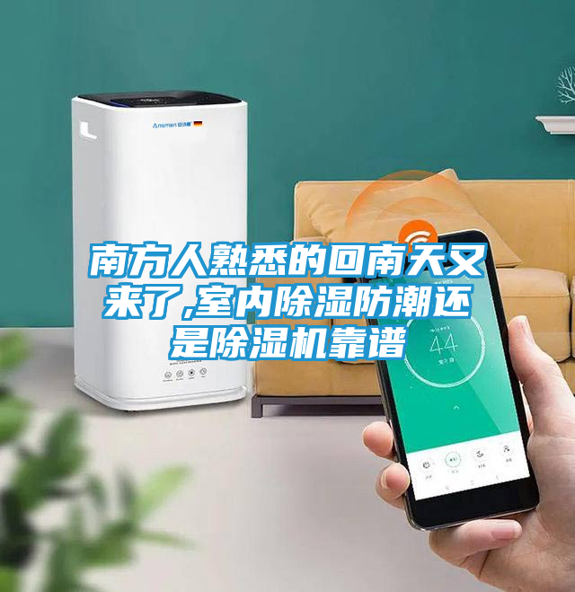 南方人熟悉的回南天又来了,室内除湿防潮还是除湿机靠谱