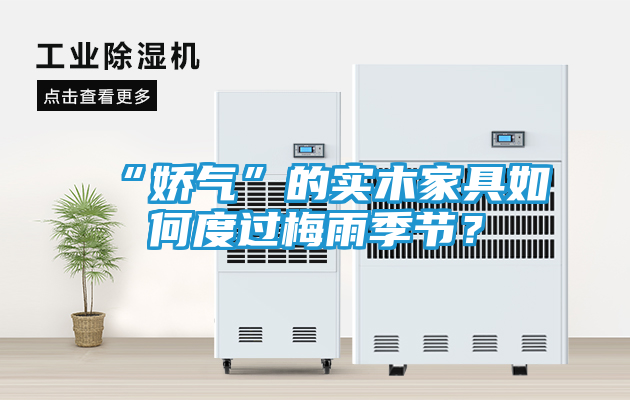 “娇气”的实木家具如何度过梅雨季节？