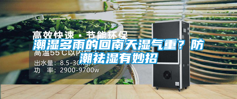潮湿多雨的回南天湿气重？防潮祛湿有妙招