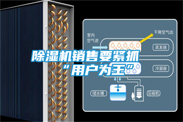 除湿机销售要紧抓“用户为王”