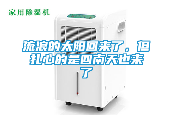 流浪的太阳回来了，但扎心的是回南天也来了