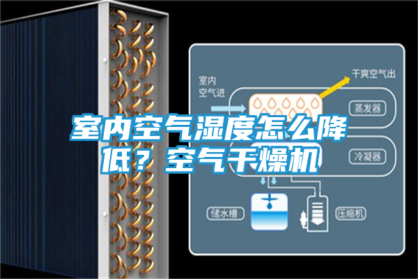 室内空气湿度怎么降低？空气干燥机