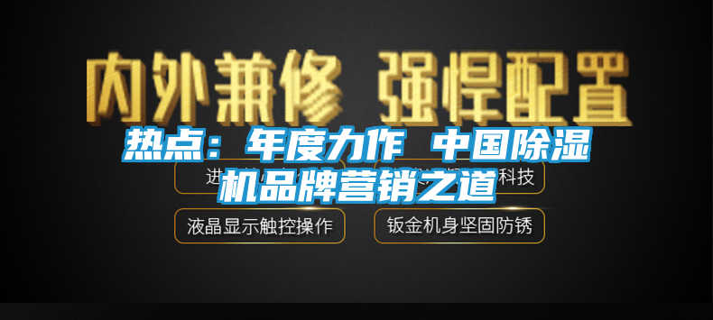 热点：年度力作 中国除湿机品牌营销之道