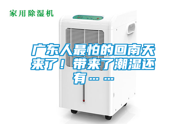 广东人最怕的回南天来了！带来了潮湿还有……