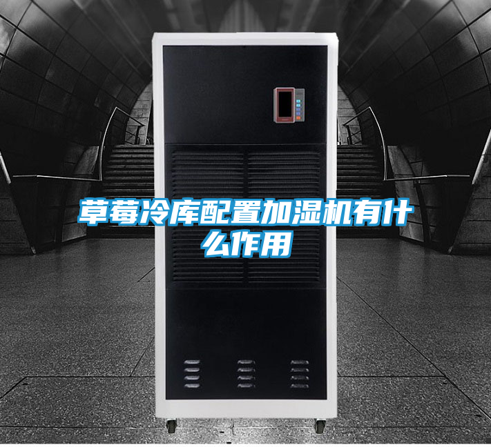 草莓冷库配置加湿机有什么作用