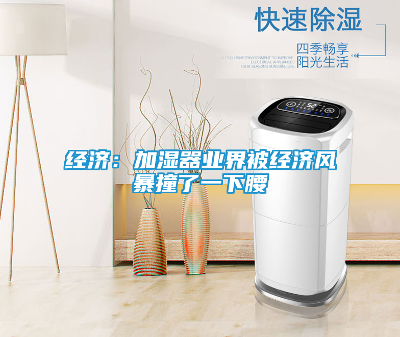 经济：加湿器业界被经济风暴撞了一下腰