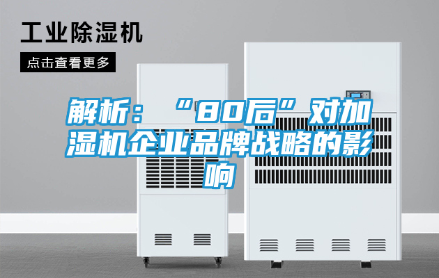 解析：“80后”对加湿机企业品牌战略的影响