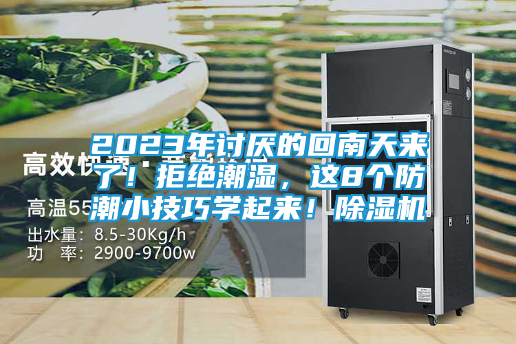 2023年讨厌的回南天来了！拒绝潮湿，这8个防潮小技巧学起来！除湿机