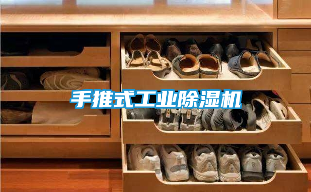 手推式工业除湿机