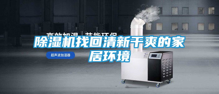 除湿机找回清新干爽的家居环境