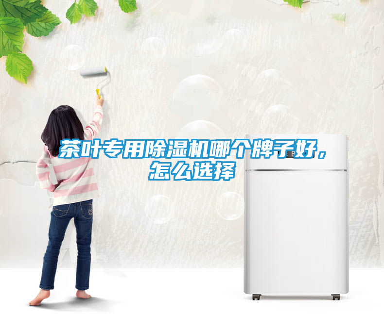茶叶专用除湿机哪个牌子好，怎么选择
