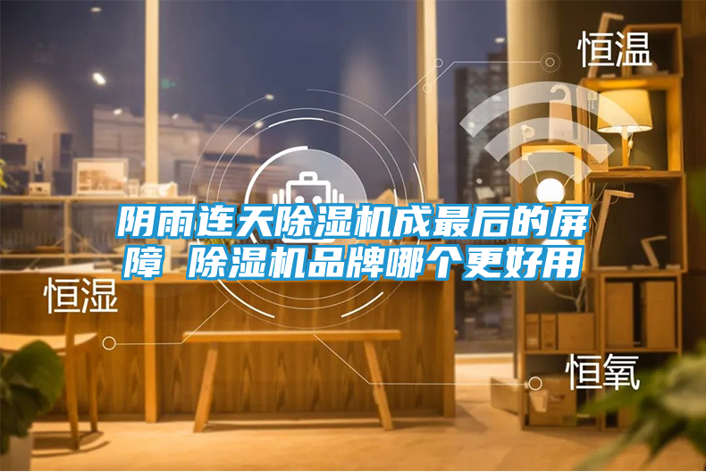阴雨连天除湿机成最后的屏障 除湿机品牌哪个更好用