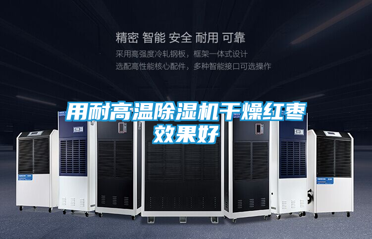 用耐高温除湿机干燥红枣效果好