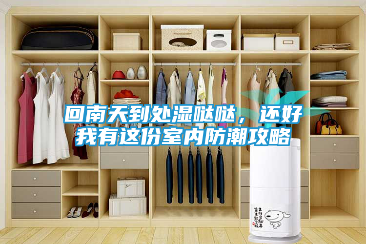 回南天到处湿哒哒，还好我有这份室内防潮攻略