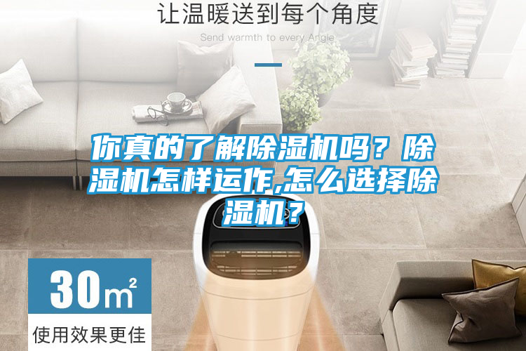 你真的了解除湿机吗？除湿机怎样运作,怎么选择除湿机？