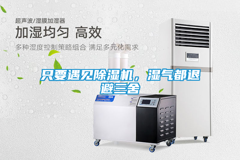 只要遇见除湿机，湿气都退避三舍