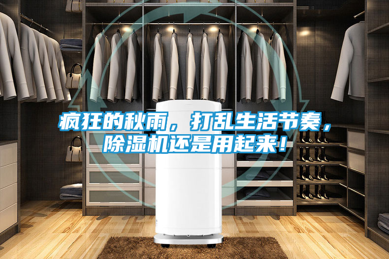 疯狂的秋雨，打乱生活节奏，除湿机还是用起来！