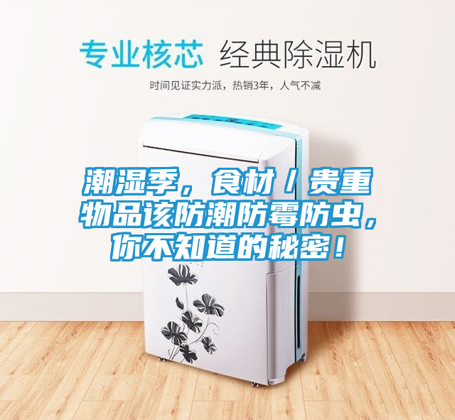 潮湿季，食材／贵重物品该防潮防霉防虫，你不知道的秘密！