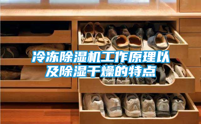 冷冻除湿机工作原理以及除湿干燥的特点