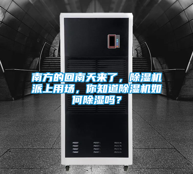 南方的回南天来了，除湿机派上用场，你知道除湿机如何除湿吗？