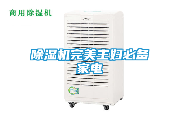 除湿机完美主妇必备家电