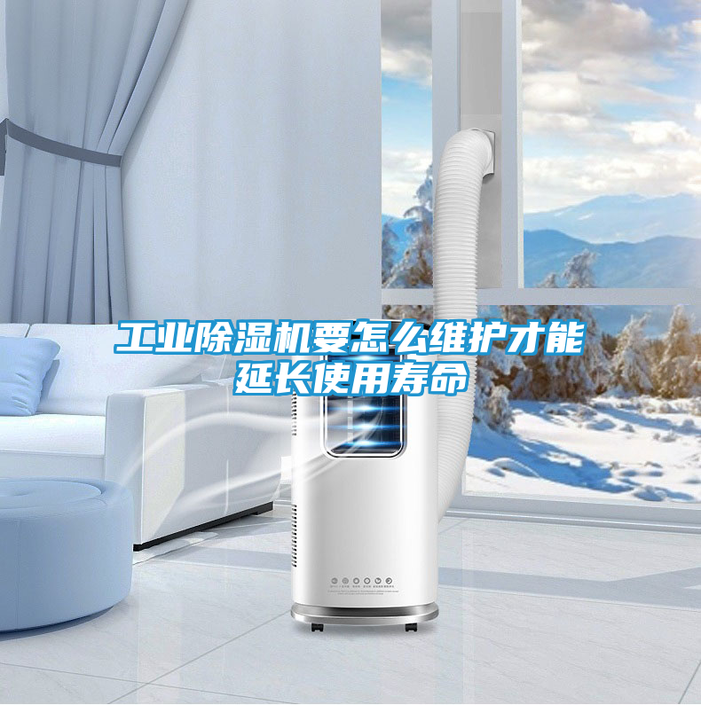 工业除湿机要怎么维护才能延长使用寿命