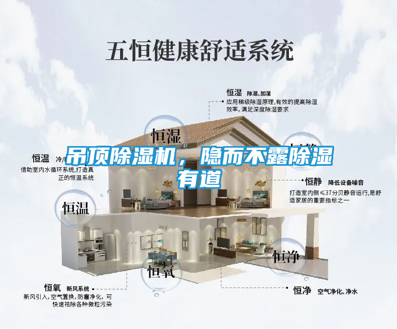 吊顶除湿机，隐而不露除湿有道