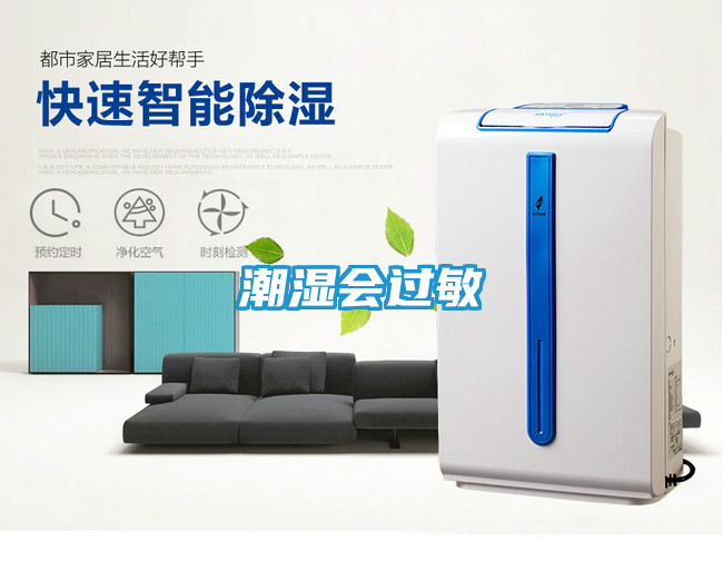 潮湿会过敏
