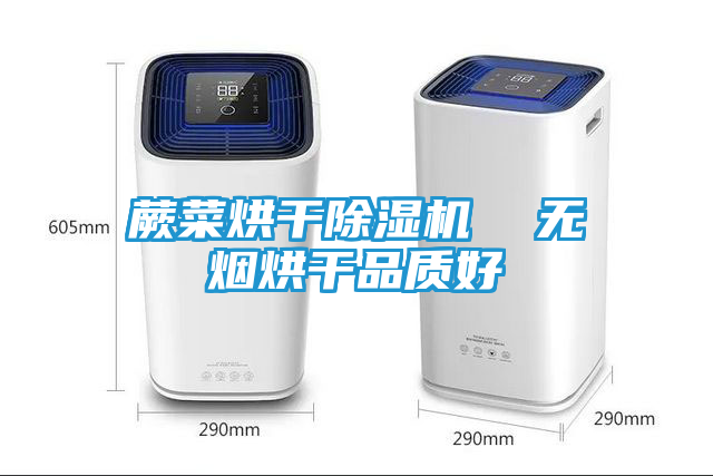 蕨菜烘干除湿机  无烟烘干品质好