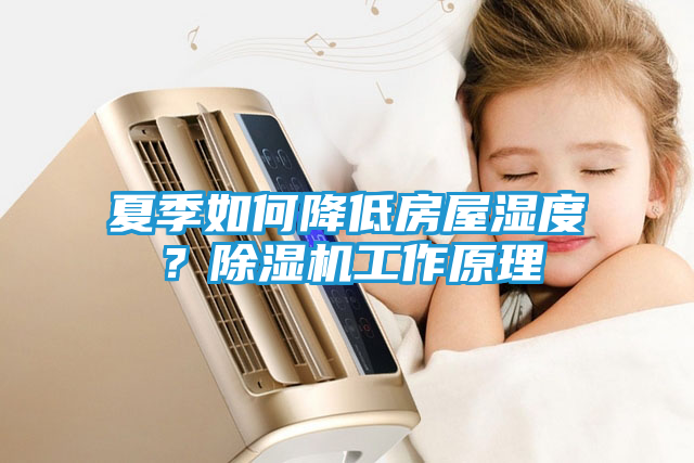 夏季如何降低房屋湿度？除湿机工作原理