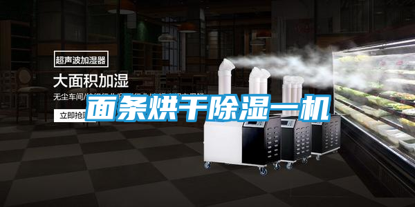 面条烘干除湿一机