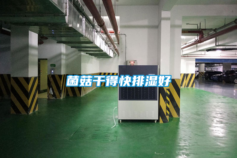 菌菇干得快排湿好