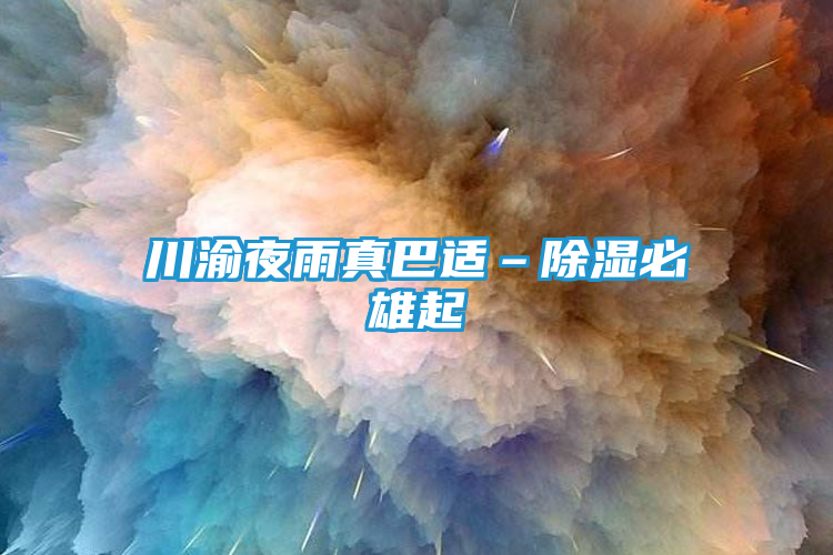川渝夜雨真巴适–除湿必雄起
