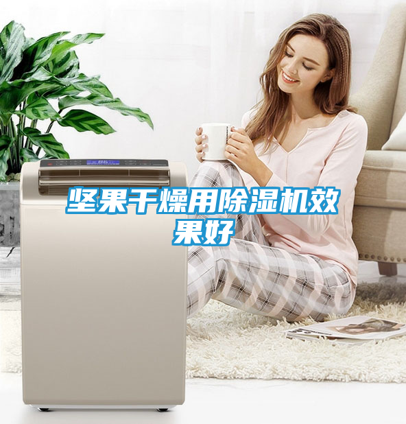 坚果干燥用除湿机效果好