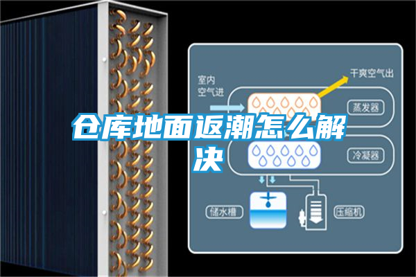 仓库地面返潮怎么解决