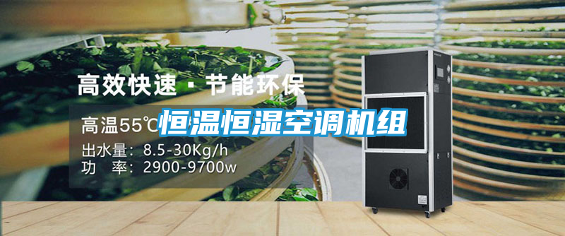 恒温恒湿空调机组
