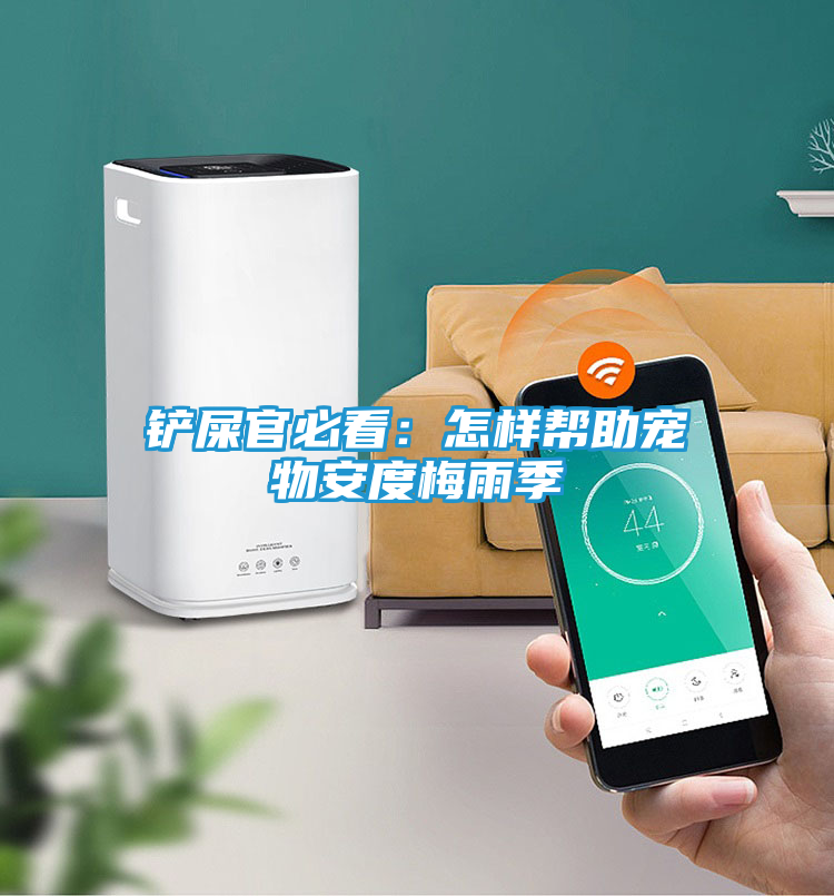 铲屎官必看：怎样帮助宠物安度梅雨季